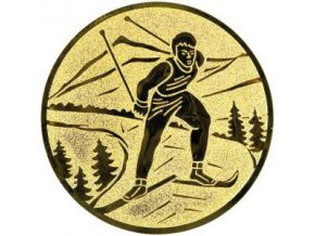 Emblém  CE159 lyžování