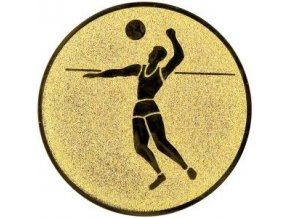 Emblém  CE021  volejbalista
