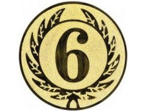 Emblém  CE171  6. místo