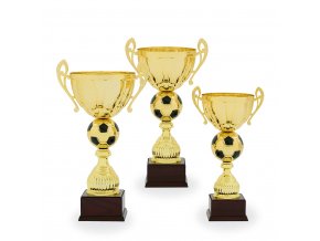 Trofej C22528 fotbal zlatá/černá