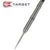 PRECISION  DISCOVERY 24g steel