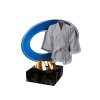 Akrylátová trofej CACL2102M25 Karate