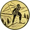Emblém  CE159 lyžování
