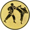 Emblém  CE078 karate