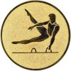Emblém  CE043 gymnastika