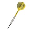SCOTT WILLIAMS soft darts 2