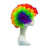 parukaclown2