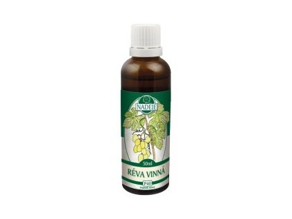 Vinič - tinktúra z púčikov P40 (Objem 50 ml)