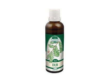 Dub letný - tinktúra z púčikov P12 (Objem 50 ml)