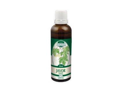 Javor poľný - tinktúra z púčikov P17 (Objem 50 ml)