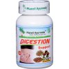 digestion support planet ayurveda