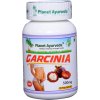 garcinia kapsule planet ayurveda