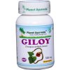 giloy kapsule guduchi planet ayurveda