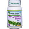 chanca piedra kapsule planet ayurveda