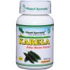 karela horka tekvicka planet ayurveda