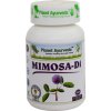 mimosa di planet ayurveda