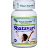 shatavari kapsule planet ayurveda