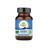 Memory kapsule Organic India