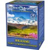 Brahmi sypany caj Everest Ayurveda