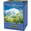 Vyana sypany caj Everest Ayurveda