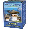 Slesaka sypany caj Everest Ayurveda