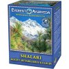 Shalari sypany caj Everest Ayurveda