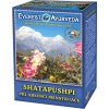 Shatapushpi sypany caj Everest Ayurveda
