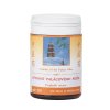PEVNOSŤ PALÁCOVÉHO PILIERA - DU HUO JI SHENG WAN - TCM Herbs (Objem 100 tabliet / 30 g)