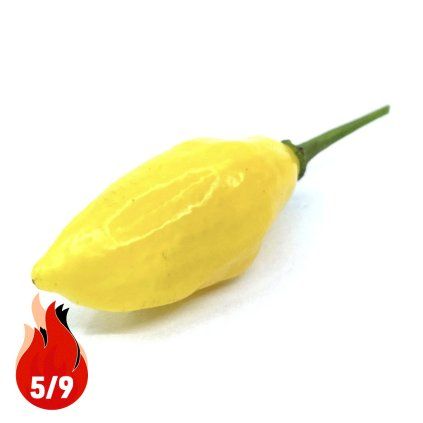 HOT LEMON 5P