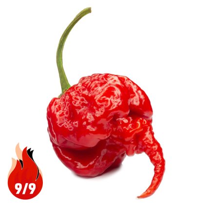Carolina Reaper - Planta
