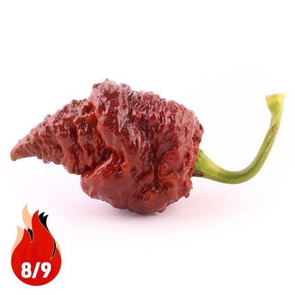 Big Black Mama - Planta