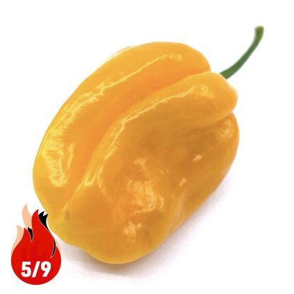 HABANERO YELLOW 5P