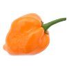 Mleté chilli - Habanero Orange