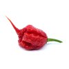 Mleté chilli - Carolina Reaper