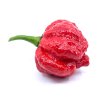 Mleté chilli - Trinidad Scorpion Moruga