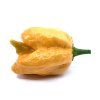 Mleté chilli - Golden Reaper