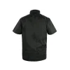 rodon CHEF2