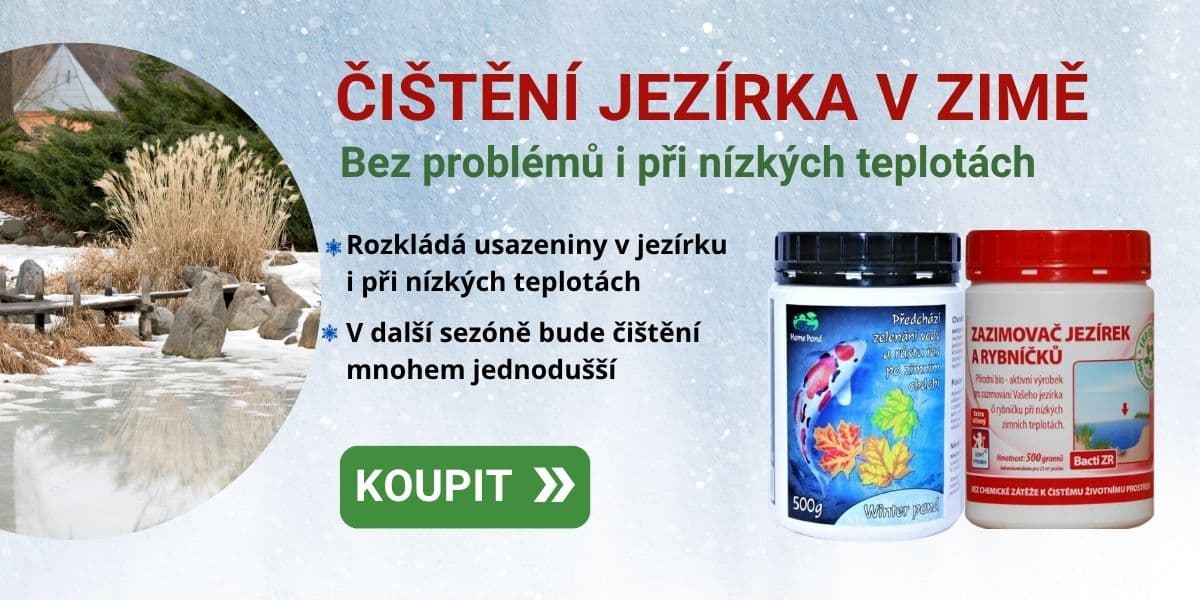 Čištění jezírka v zimě