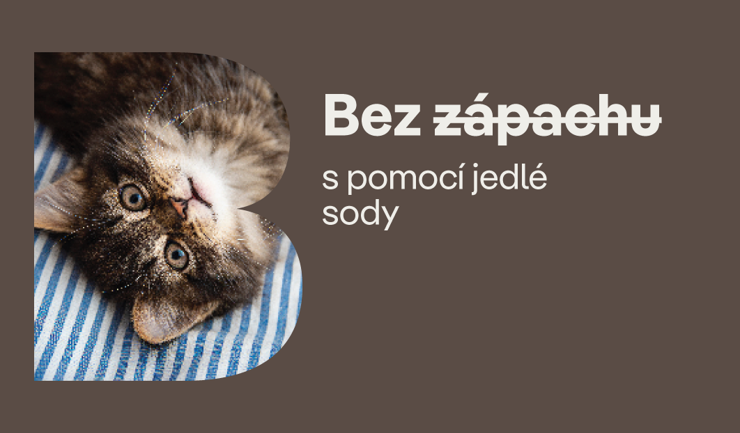 Jak odstranit zápachy v domácnosti: 3. pomocí jedlé sody
