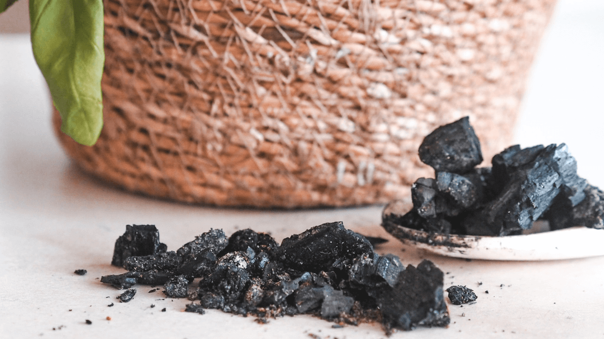 Dřevěný popel? Ideální hnojivo!