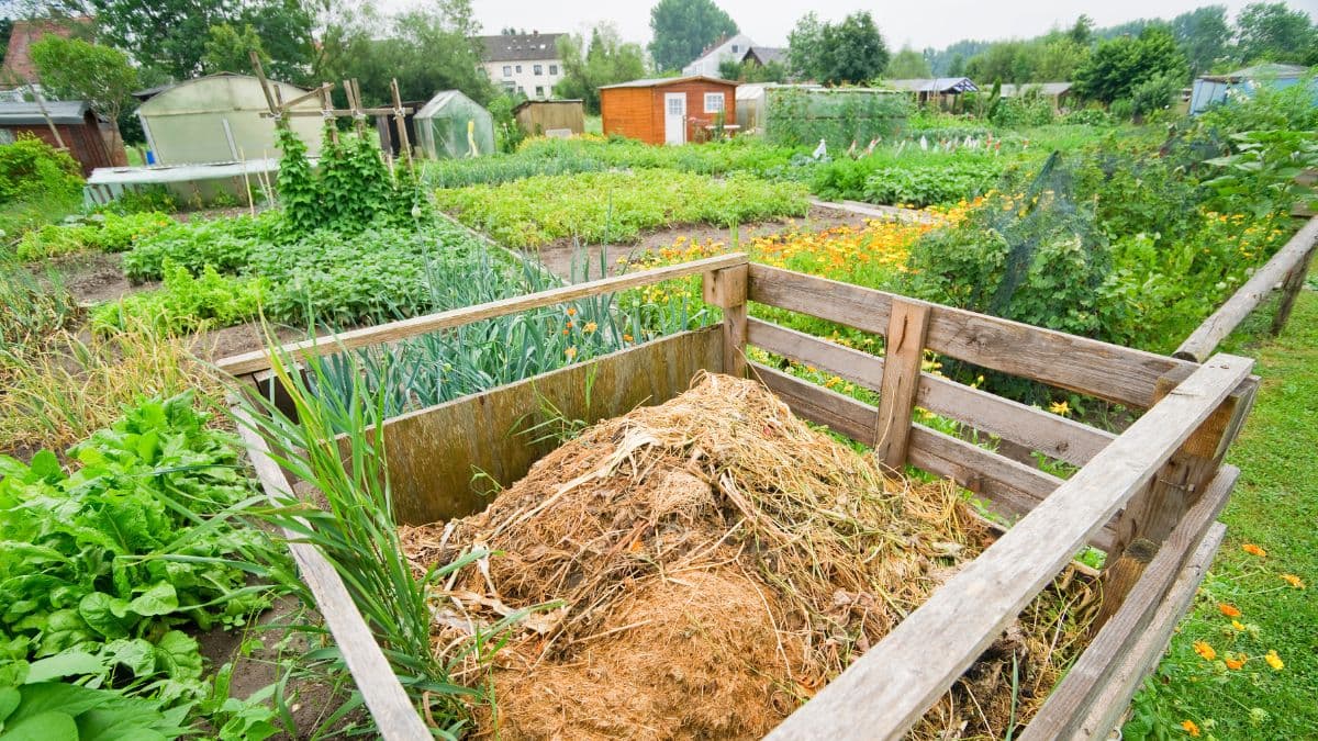 Jak si vyrobit domácí kompostér: Krok za krokem