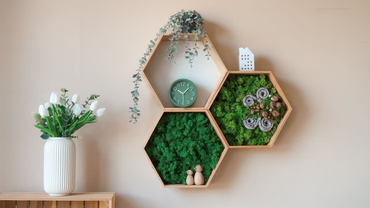 Mechové hexagony - bezúdržbová přírodní dekorace do vašeho interiéru