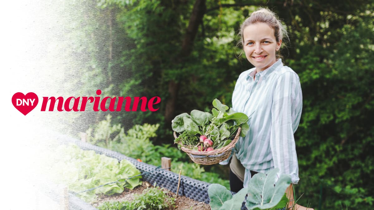 Dny Marianne 2026: Připravte svůj domov i zahradu na jaro s ČistéDřevo.cz
