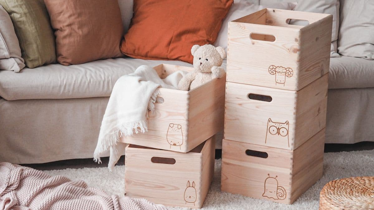 Nedoceněný masiv: borovice