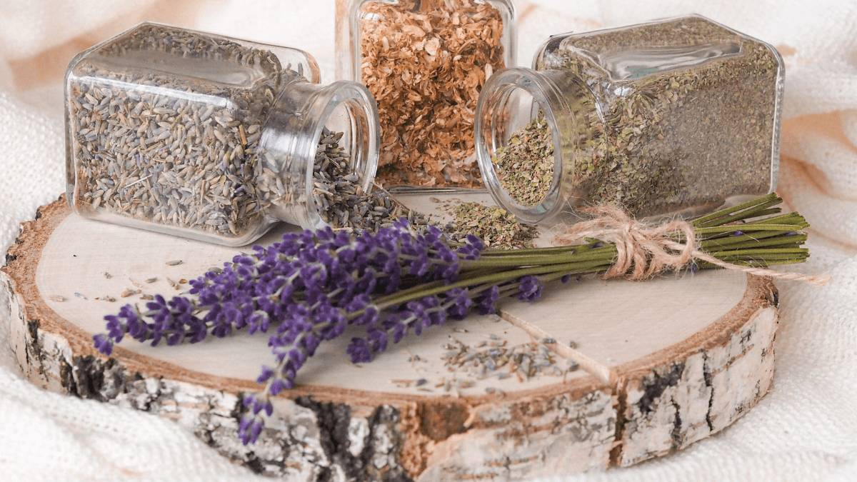 Blíží se svatojánská noc: tipy na sušení a uchovávání bylinek