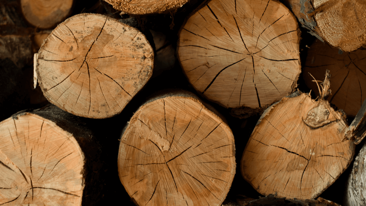 Jak vyčistit dřevo