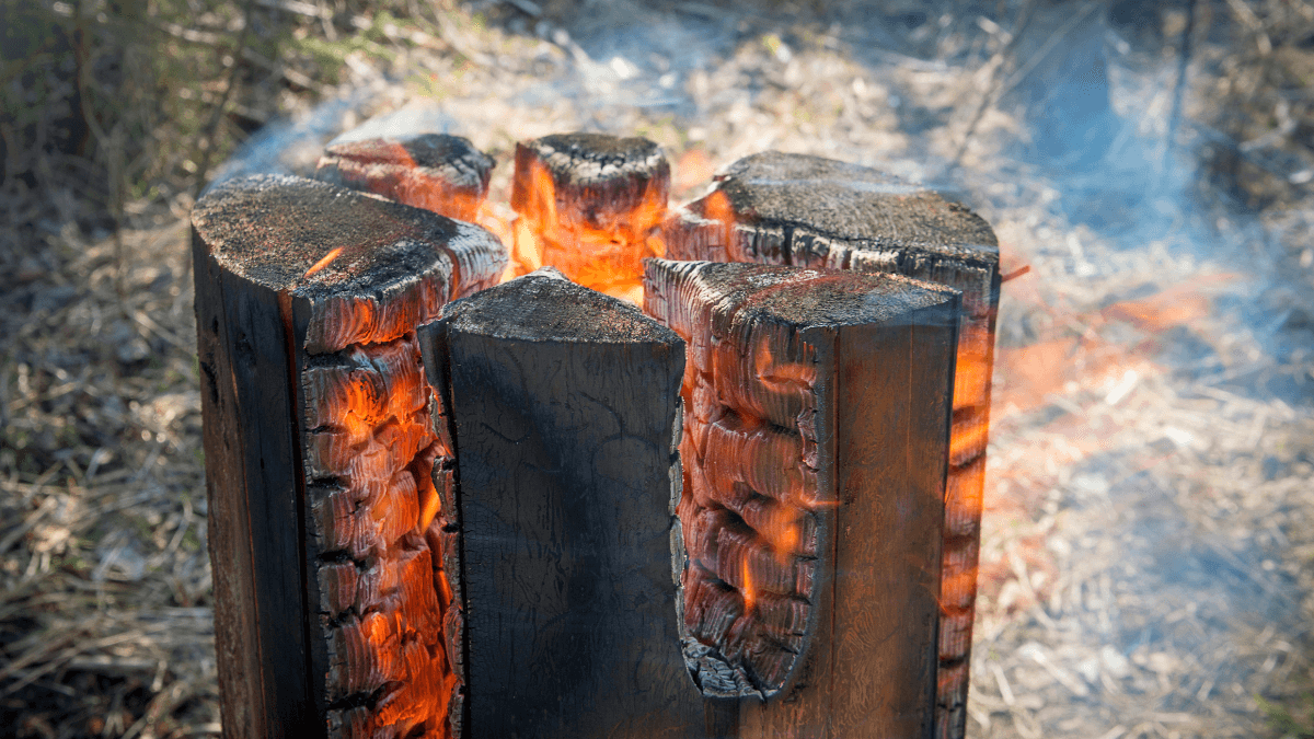 Opékání špekáčků v zimě? Proč ne!