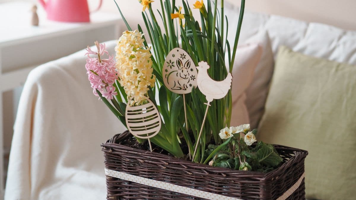 Truhlíky - kdy, jak a čím je osadit