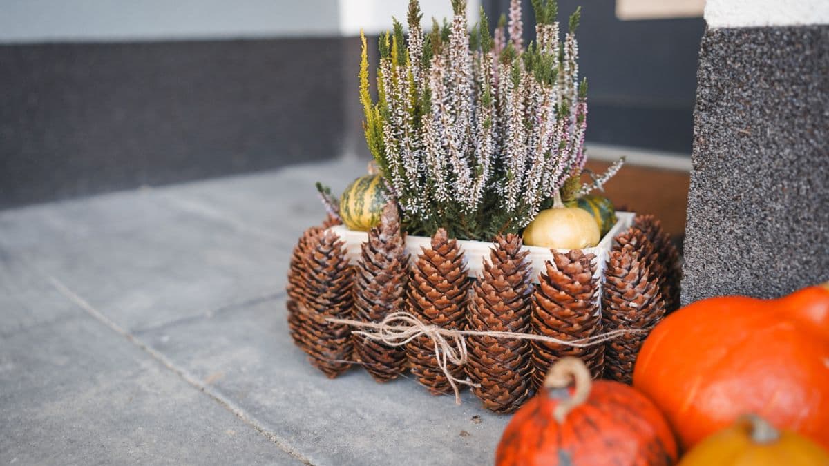 Jak udělat podzimní truhlíky