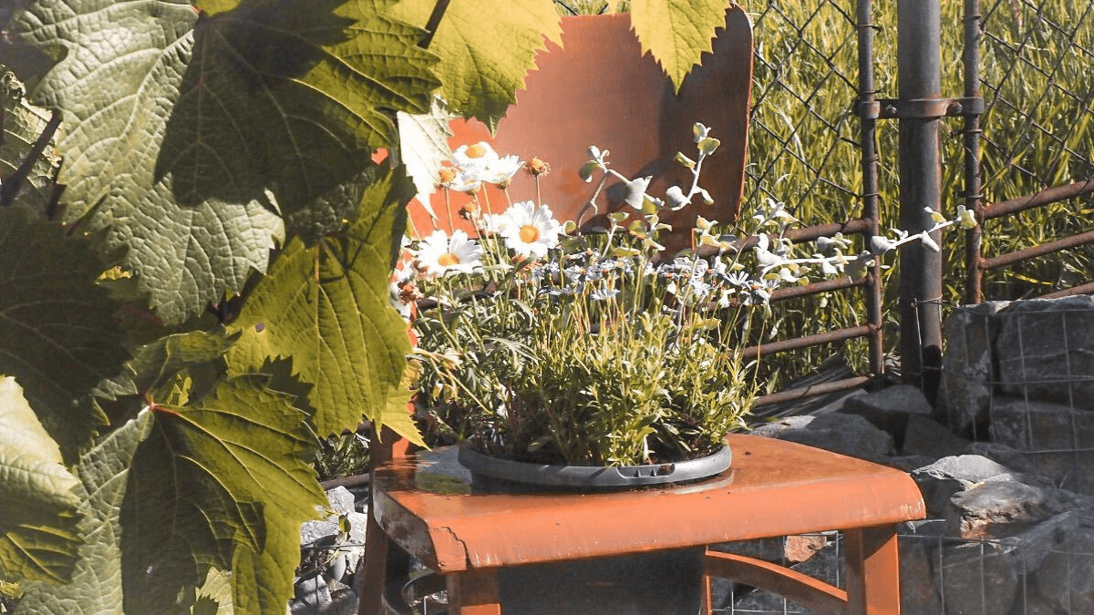 Recyklace a upcyklace dřevěných výrobků